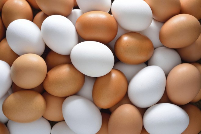 How to distinguish chemically bleached chicken eggs 'disguised' as chickens